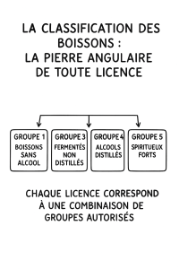 licence boisson alcool